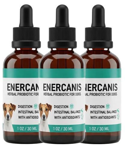Enercanis