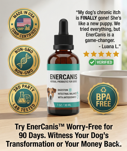 Enercanis