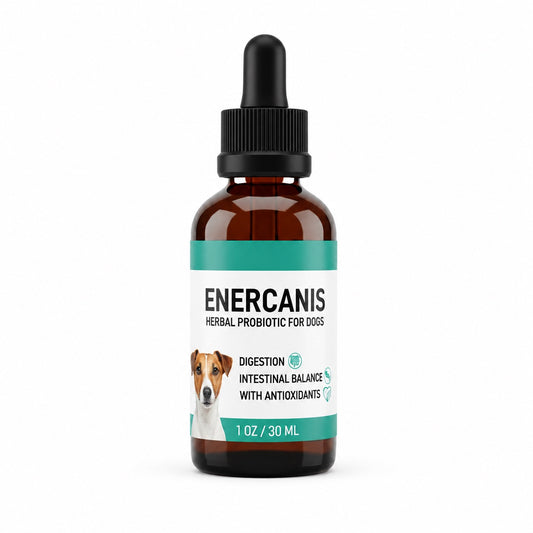 Enercanis