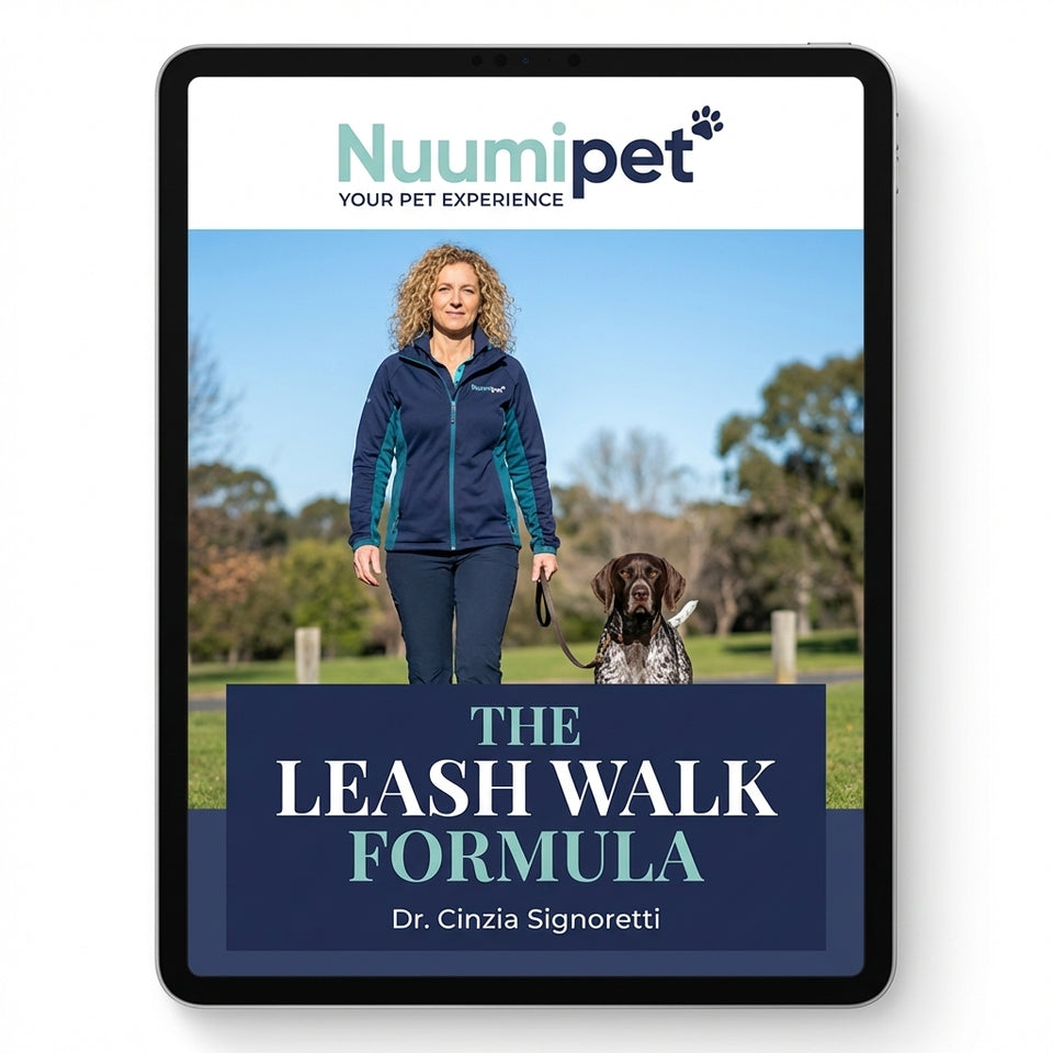 Training is about how you and your dog learn to read each other.