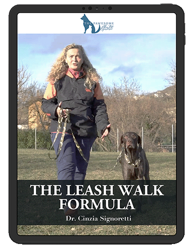 The Leash Walk Formula