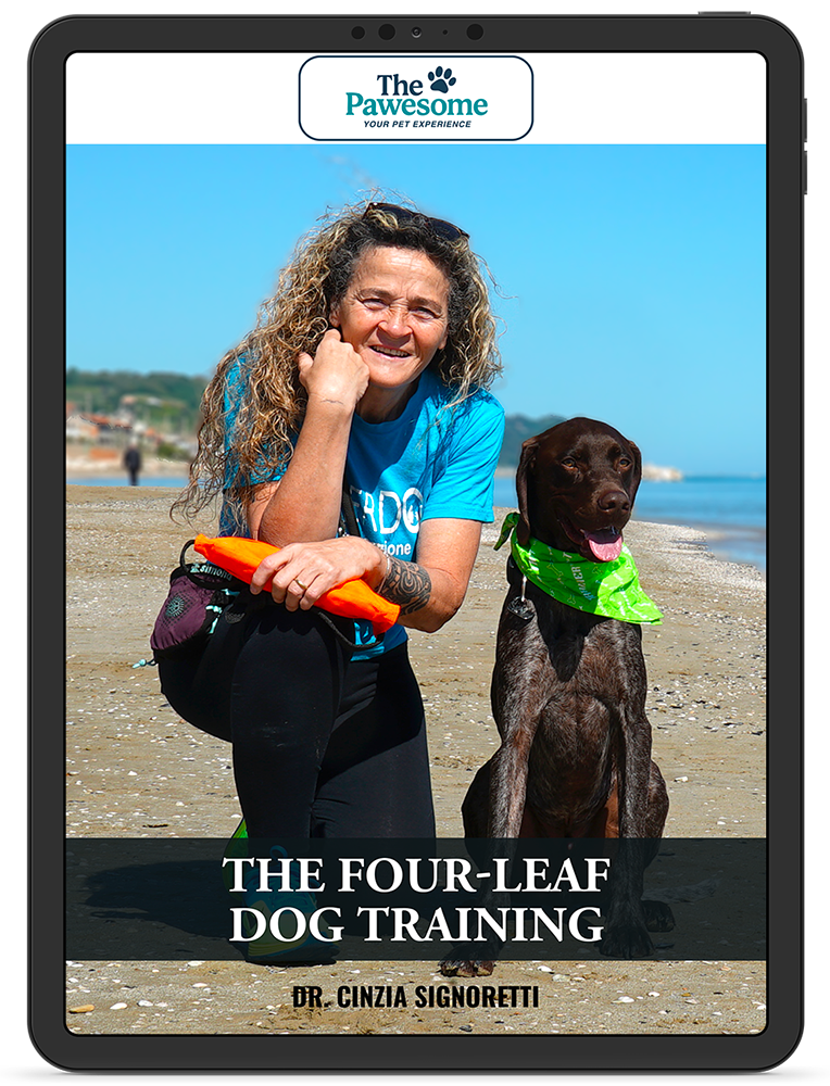 The Four-Leaf Dog Training