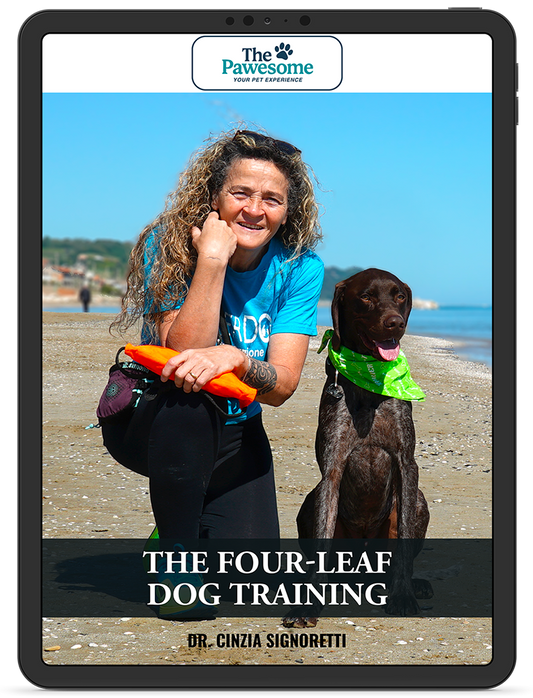 The Four-Leaf Dog Training