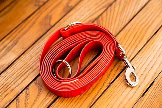 WonderLeash